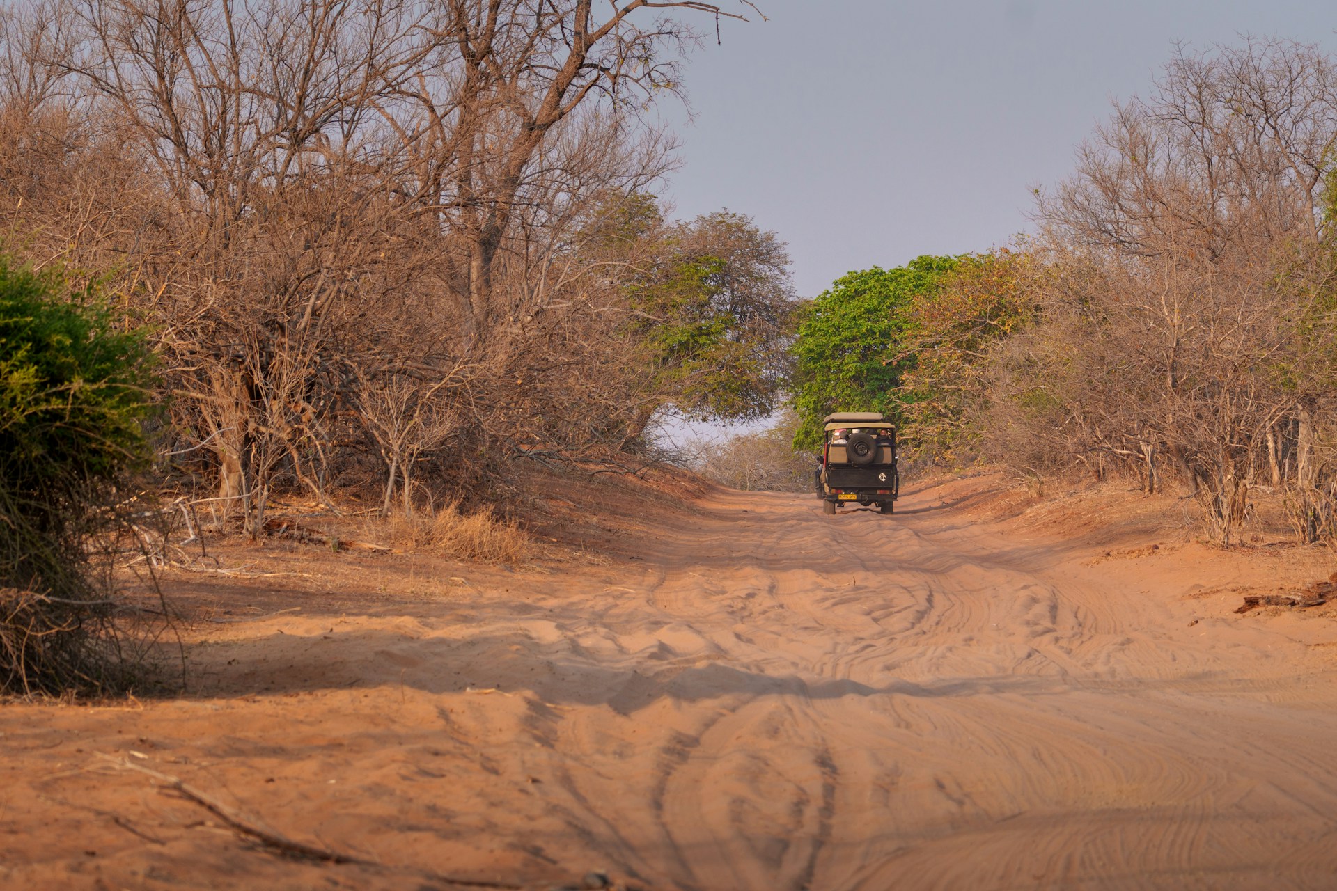 Safari vehicle on a Chobe game-drive route