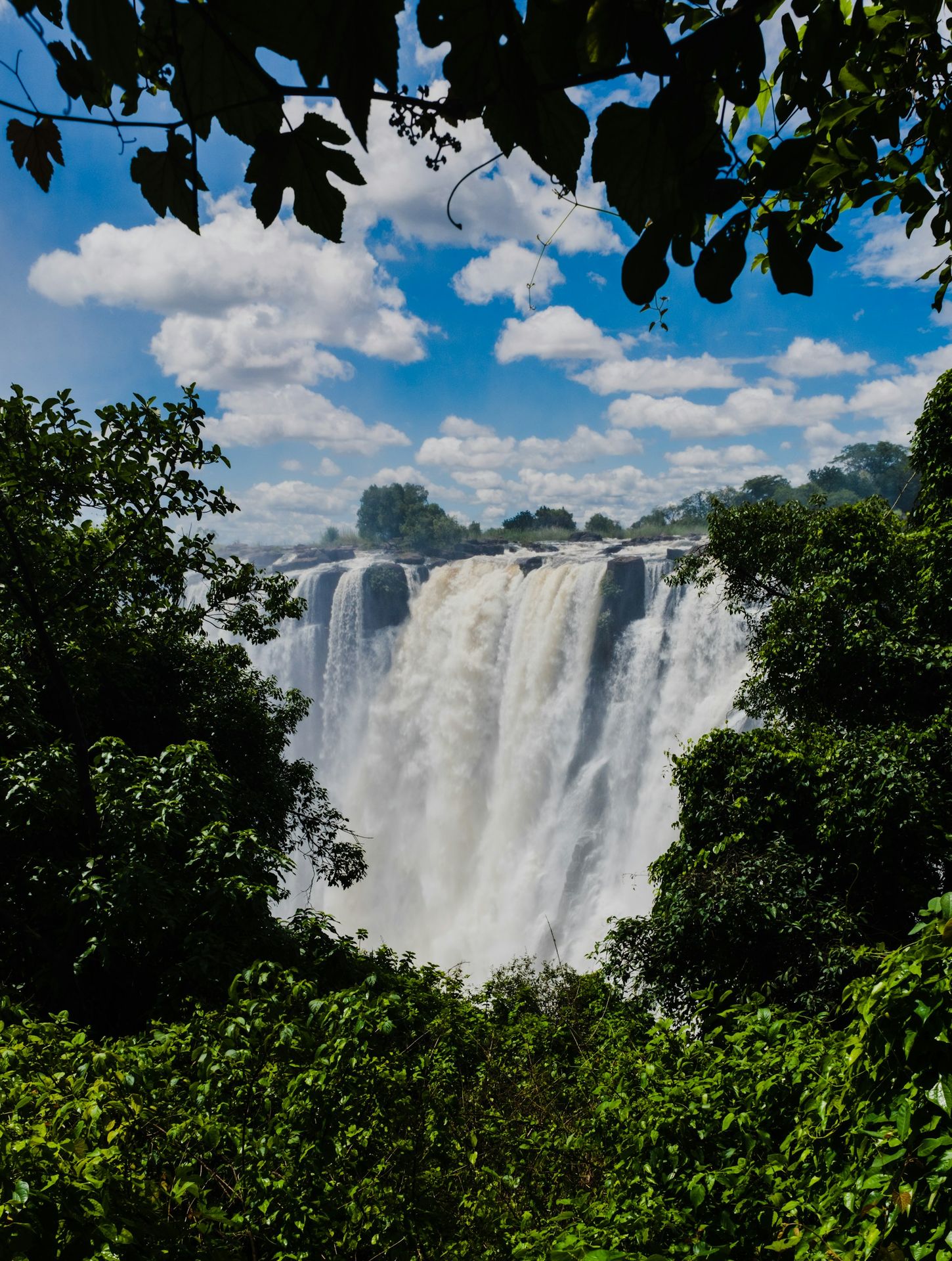 Victoria Falls framed by greenery