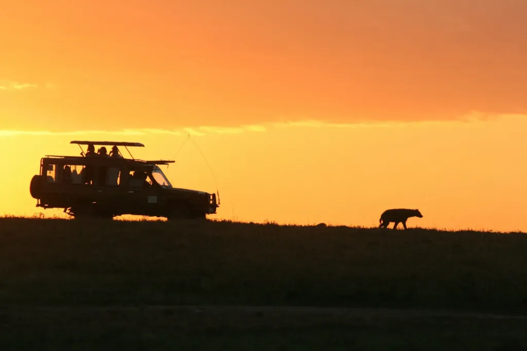 Kasane Add-On - Chobe Game Drive Experience (Local, Morning)